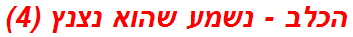הכלב - נשמע שהוא נצנץ (4)