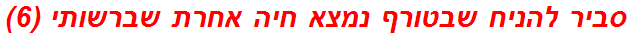 סביר להניח שבטורף נמצא חיה אחרת שברשותי (6)