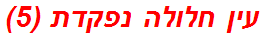 עין חלולה נפקדת (5)