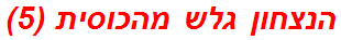 הנצחון גלש מהכוסית (5)