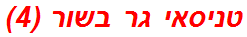 טניסאי גר בשור (4)