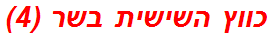 כווץ השישית בשר (4)