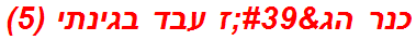כנר הג'ז עבד בגינתי (5)