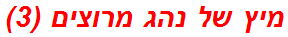 מיץ של נהג מרוצים (3)