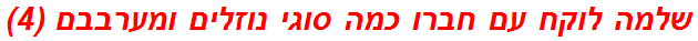 שלמה לוקח עם חברו כמה סוגי נוזלים ומערבבם (4)