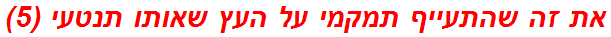 את זה שהתעייף תמקמי על העץ שאותו תנטעי (5)