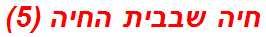 חיה שבבית החיה (5)