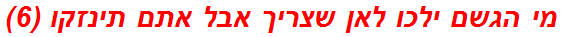 מי הגשם ילכו לאן שצריך אבל אתם תינזקו (6)