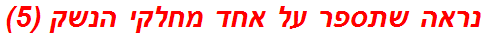 נראה שתספר על אחד מחלקי הנשק (5)
