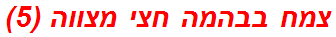 צמח בבהמה חצי מצווה (5)