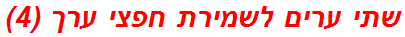 שתי ערים לשמירת חפצי ערך (4)