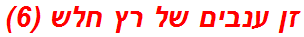 זן ענבים של רץ חלש (6)