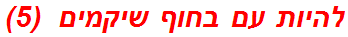 להיות עם בחוף שיקמים  (5)