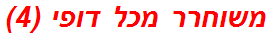 משוחרר מכל דופי (4)