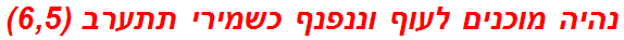 נהיה מוכנים לעוף וננפנף כשמירי תתערב (6,5)