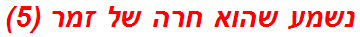 נשמע שהוא חרה של זמר (5)