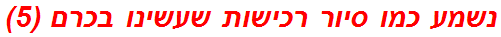 נשמע כמו סיור רכישות שעשינו בכרם (5)