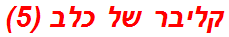 קליבר של כלב (5)