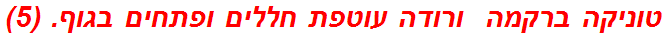 טוניקה ברקמה  ורודה עוטפת חללים ופתחים בגוף. (5)