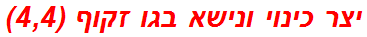 יצר כינוי ונישא בגו זקוף (4,4)