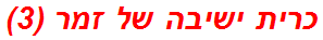 כרית ישיבה של זמר (3)