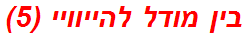 בין מודל להייוויי (5)