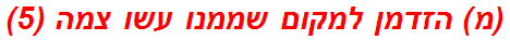 (מ) הזדמן למקום שממנו עשו צמה (5)