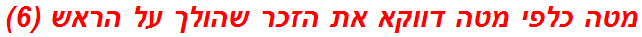 מטה כלפי מטה דווקא את הזכר שהולך על הראש (6)