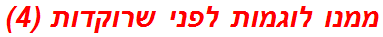 ממנו לוגמות לפני שרוקדות (4)