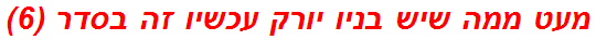 מעט ממה שיש בניו יורק עכשיו זה בסדר (6)