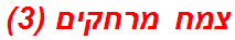 צמח מרחקים (3)