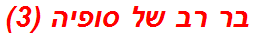 בר רב של סופיה (3)