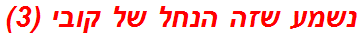 נשמע שזה הנחל של קובי (3)