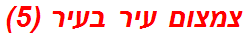 צמצום עיר בעיר (5)