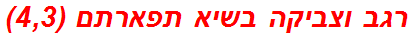 רגב וצביקה בשיא תפארתם (4,3)