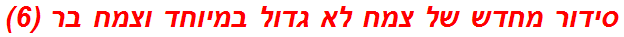 סידור מחדש של צמח לא גדול במיוחד וצמח בר (6)