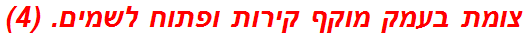 צומת בעמק מוקף קירות ופתוח לשמים. (4)