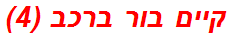 קיים בור ברכב (4)