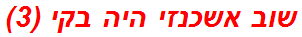 שוב אשכנזי היה בקי (3)