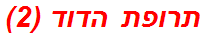 תרופת הדוד (2)